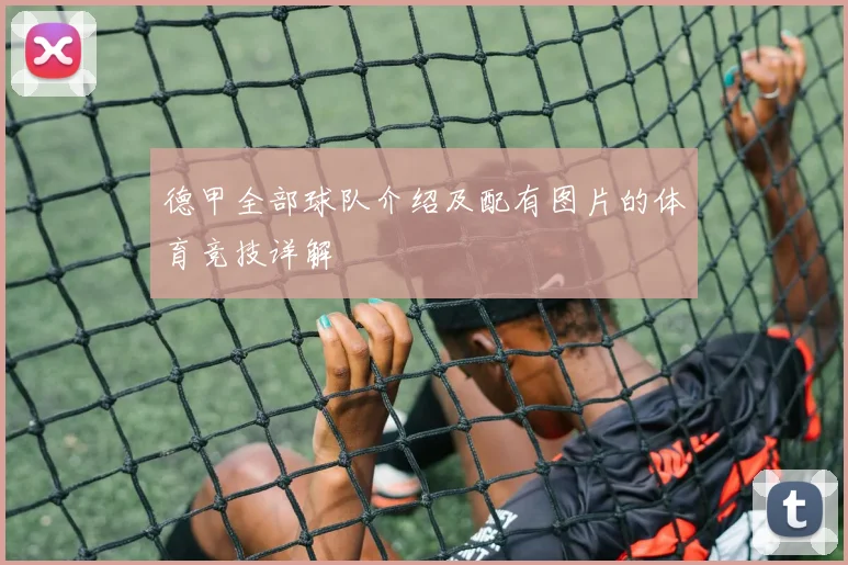 德甲全部球队介绍及配有图片的体育竞技详解