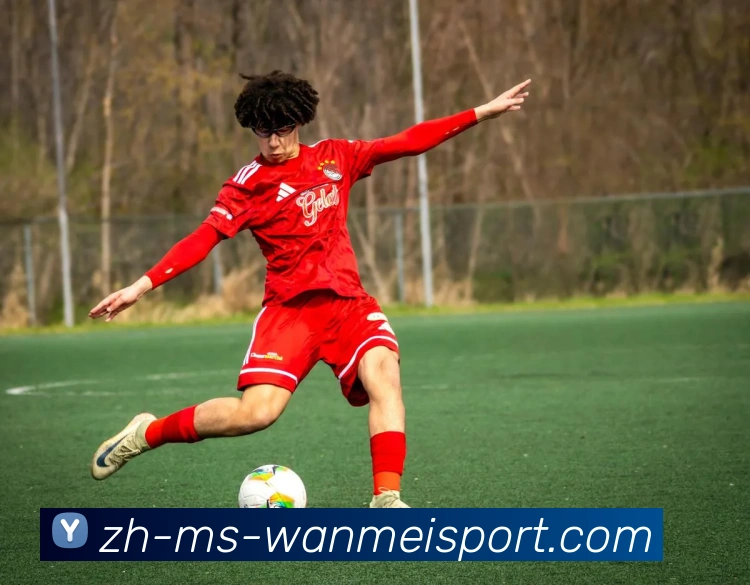 完美体育全站App